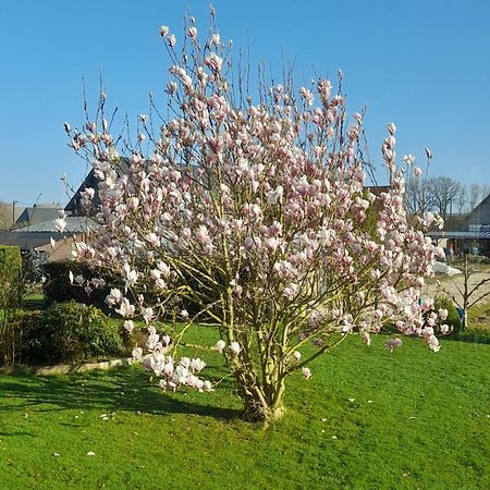 L'Abri Des Ames Lägenhet Gerponville Exteriör bild